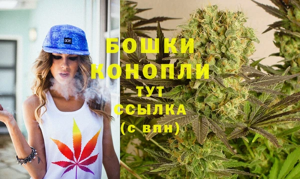 мдпв Майский