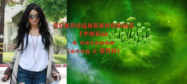 мдпв Майский