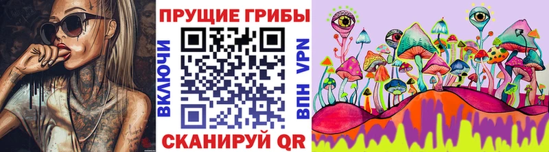 Галлюциногенные грибы мухоморы  Межгорье 