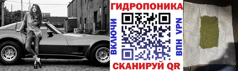 Бошки Шишки семена  Межгорье 